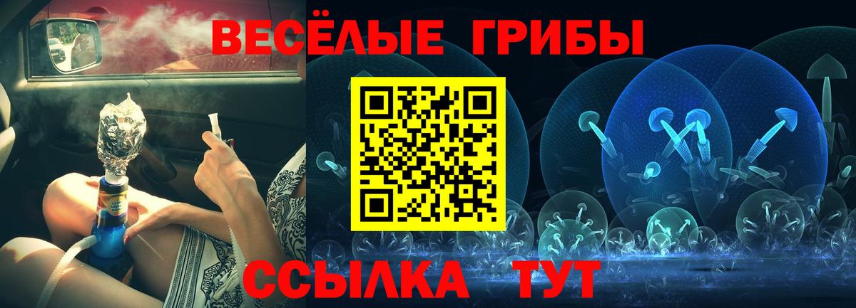 Галлюциногенные грибы Magic Shrooms Заинск